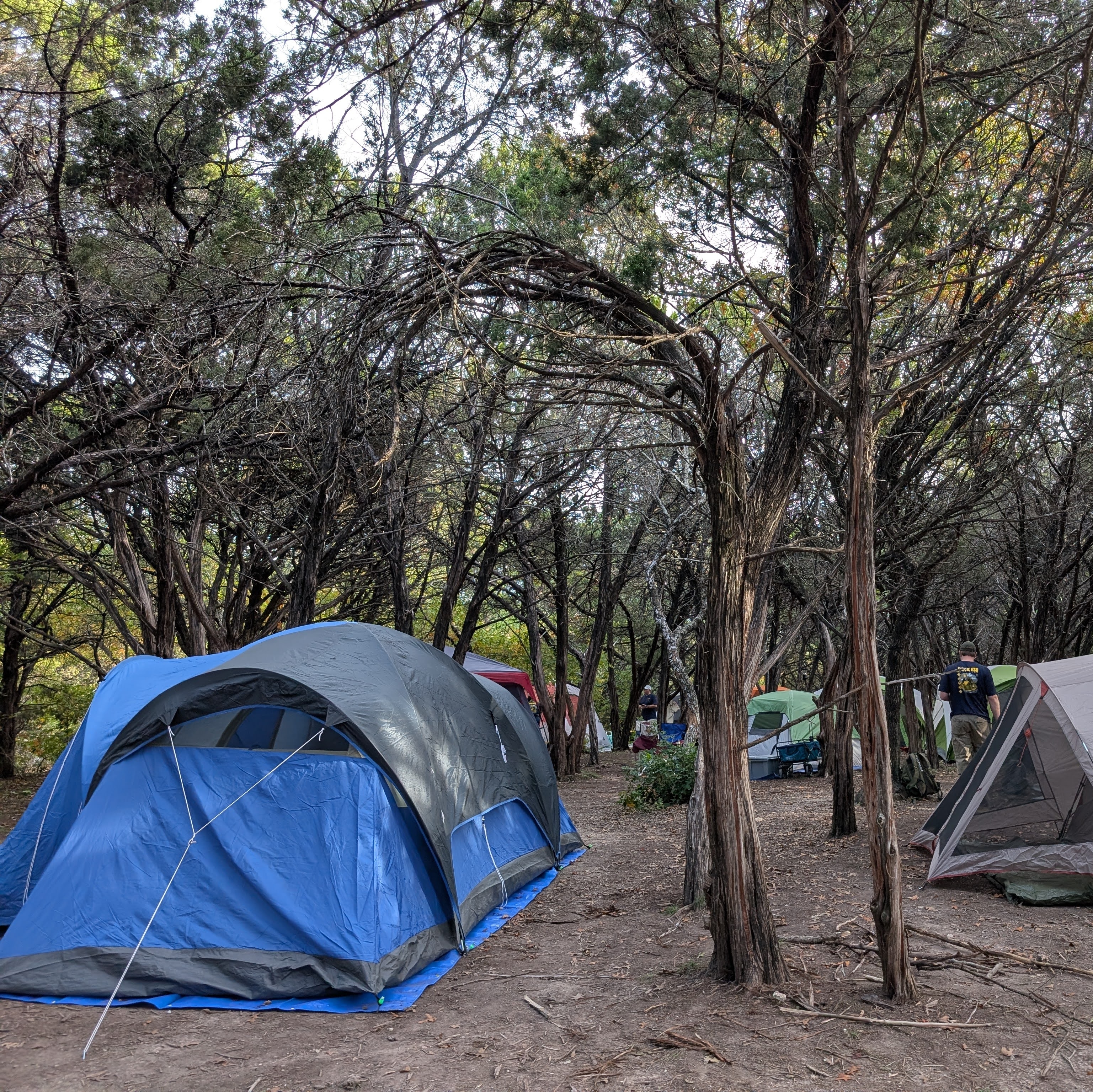 Cub Scouts Adventure